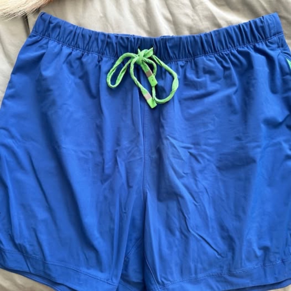 Fabletics Shorts Bundle - image 6